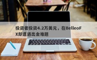 投资者投资4.2万美元，在BelleoFX却遭遇出金难题