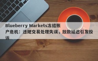 Blueberry Markets冻结账户危机：违规交易处理失误，放款延迟引发投诉