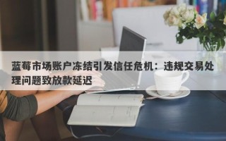 蓝莓市场账户冻结引发信任危机：违规交易处理问题致放款延迟