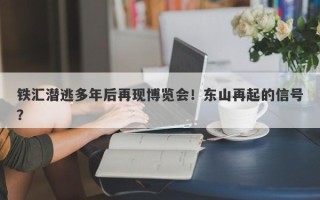 铁汇潜逃多年后再现博览会！东山再起的信号？