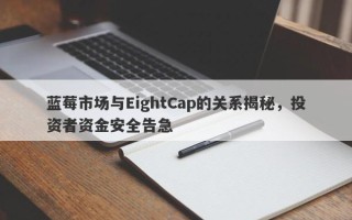 蓝莓市场与EightCap的关系揭秘，投资者资金安全告急