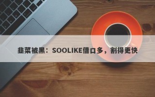 韭菜被黑：SOOLIKE借口多，割得更快