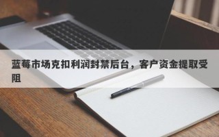 蓝莓市场克扣利润封禁后台，客户资金提取受阻