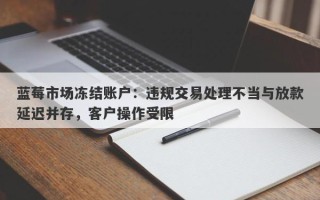 蓝莓市场冻结账户：违规交易处理不当与放款延迟并存，客户操作受限