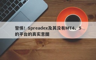 警惕！Spreadex及其没有MT4、5的平台的真实意图