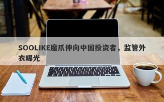 SOOLIKE魔爪伸向中国投资者，监管外衣曝光