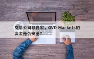 交易公司非自家，GVD Markets的资金是否安全？