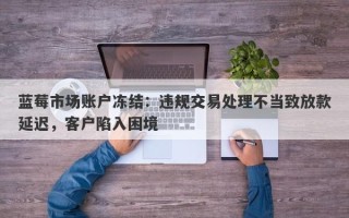 蓝莓市场账户冻结：违规交易处理不当致放款延迟，客户陷入困境