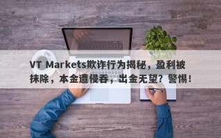 VT Markets欺诈行为揭秘，盈利被抹除，本金遭侵吞，出金无望？警惕！