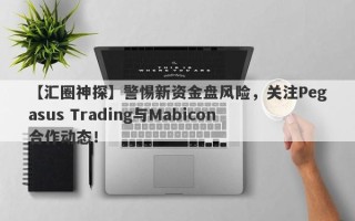 【汇圈神探】警惕新资金盘风险，关注Pegasus Trading与Mabicon合作动态！