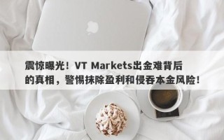 震惊曝光！VT Markets出金难背后的真相，警惕抹除盈利和侵吞本金风险！