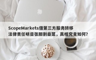 ScopeMarkets借第三方服务转移法律责任明目张胆割韭菜，真相究竟如何？