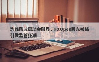 洗钱风波震动金融界，FXOpen股东被捕引发监管狂潮