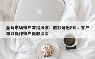 蓝莓市场账户冻结风波：放款延迟6周，客户难以操作账户提取资金