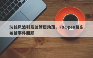 洗钱风波引发监管层动荡，FXOpen股东被捕事件回顾