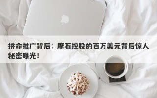 拼命推广背后：摩石控股的百万美元背后惊人秘密曝光！