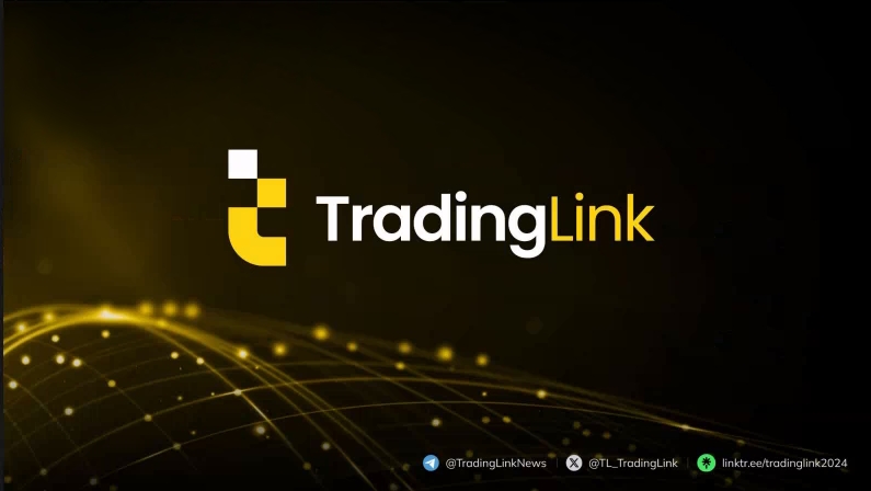 【采访】精英交易之路，KnowFX泰国曼谷专访TradingLink，解锁交易优势新篇章！-第16张图片-要懂汇