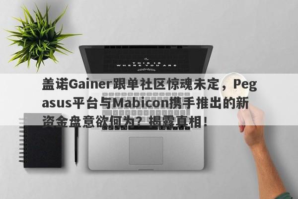 盖诺Gainer跟单社区惊魂未定，Pegasus平台与Mabicon携手推出的新资金盘意欲何为？揭露真相！-第1张图片-要懂汇