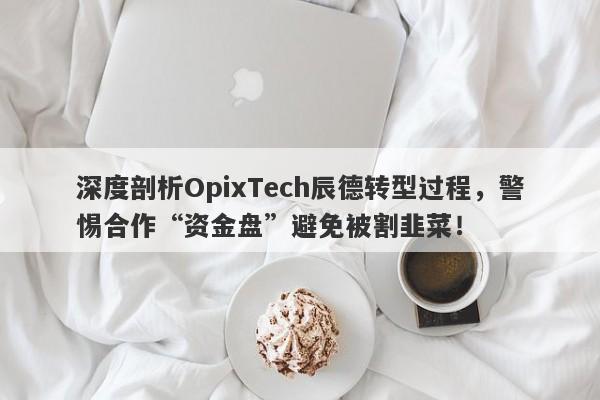 深度剖析OpixTech辰德转型过程，警惕合作“资金盘”避免被割韭菜！-第1张图片-要懂汇