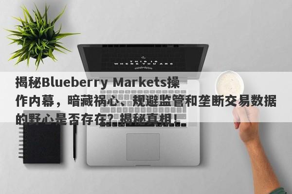 揭秘Blueberry Markets操作内幕，暗藏祸心、规避监管和垄断交易数据的野心是否存在？揭秘真相！-第1张图片-要懂汇