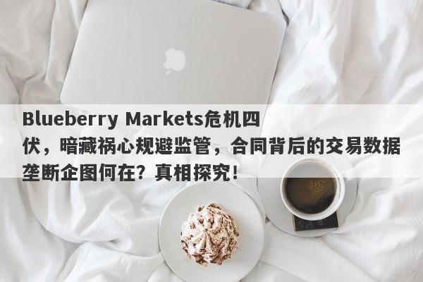 Blueberry Markets危机四伏，暗藏祸心规避监管，合同背后的交易数据垄断企图何在？真相探究！-第1张图片-要懂汇