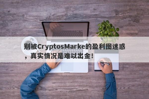 别被CryptosMarke的盈利图迷惑，真实情况是难以出金！-第1张图片-要懂汇