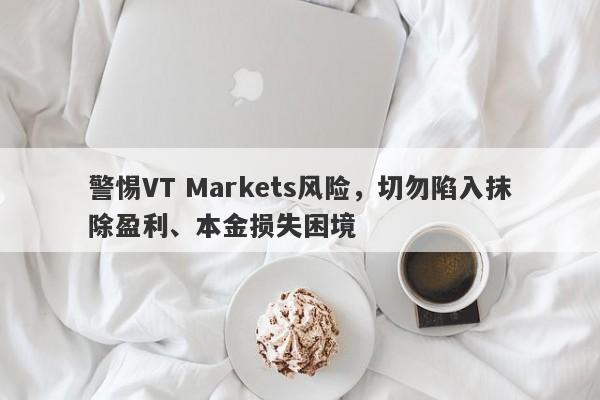 警惕VT Markets风险，切勿陷入抹除盈利、本金损失困境-第1张图片-要懂汇