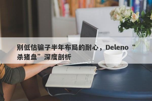 别低估骗子半年布局的耐心，Deleno“杀猪盘”深度剖析-第1张图片-要懂汇