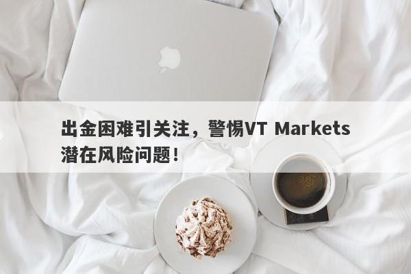 出金困难引关注，警惕VT Markets潜在风险问题！-第1张图片-要懂汇