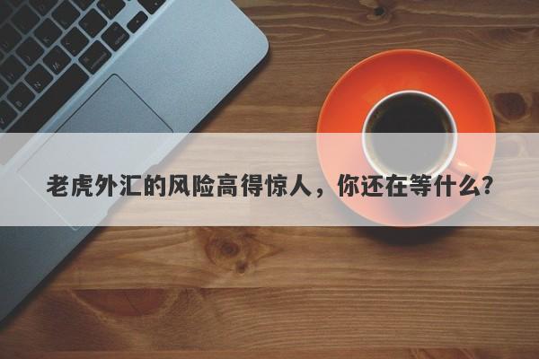 老虎外汇的风险高得惊人，你还在等什么？-第1张图片-要懂汇