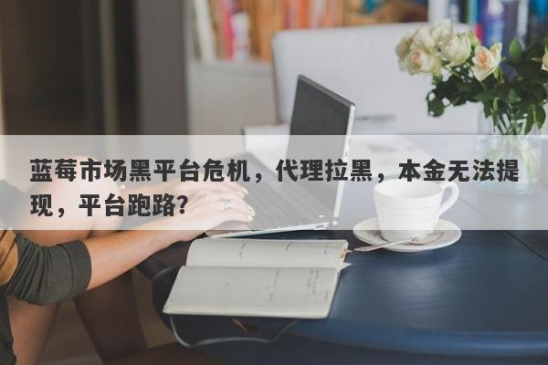 蓝莓市场黑平台危机，代理拉黑，本金无法提现，平台跑路？-第1张图片-要懂汇