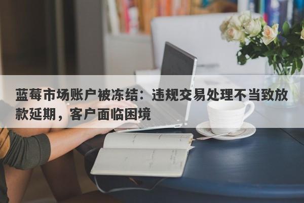 蓝莓市场账户被冻结：违规交易处理不当致放款延期，客户面临困境-第1张图片-要懂汇