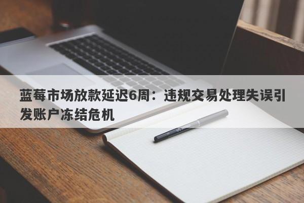 蓝莓市场放款延迟6周：违规交易处理失误引发账户冻结危机-第1张图片-要懂汇