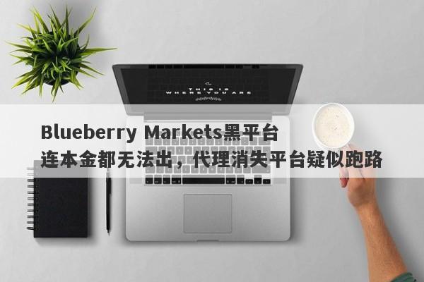 Blueberry Markets黑平台连本金都无法出，代理消失平台疑似跑路-第1张图片-要懂汇