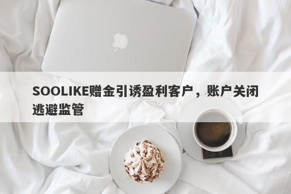 SOOLIKE赠金引诱盈利客户，账户关闭逃避监管-第1张图片-要懂汇