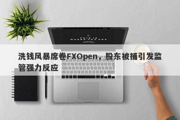 洗钱风暴席卷FXOpen，股东被捕引发监管强力反应-第1张图片-要懂汇