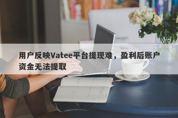 用户反映Vatee平台提现难，盈利后账户资金无法提取-第1张图片-要懂汇