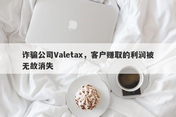 诈骗公司Valetax，客户赚取的利润被无故消失-第1张图片-要懂汇